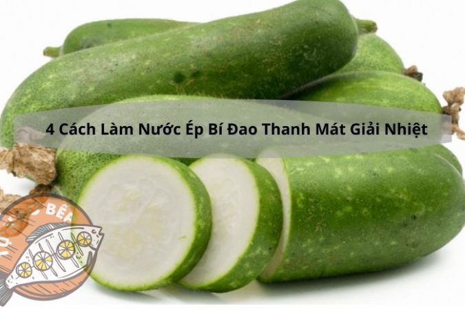 4+ Cách Làm Nước Ép Bí Đao “Thanh Mát Giải Nhiệt”