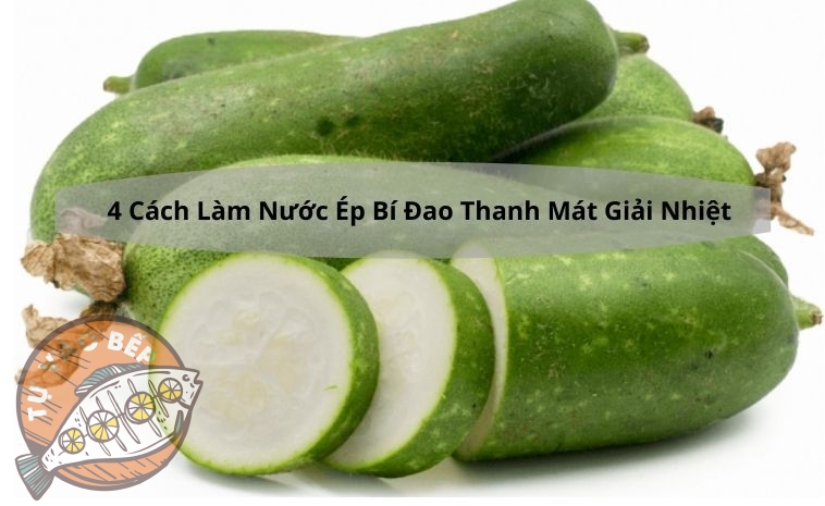 4+ Cách Làm Nước Ép Bí Đao “Thanh Mát Giải Nhiệt”