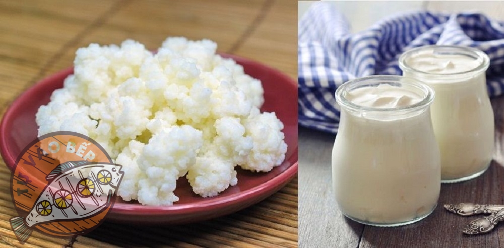Lạ miệng với cách làm sữa chua Kefir thơm ngon, bổ dưỡng