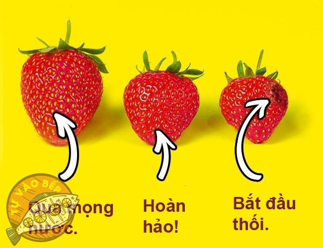 Tùy vào giống cây sẽ có hình dáng và kích thước khác nhau, tuy nhiên không nên ham quả có kích thước quá lớn